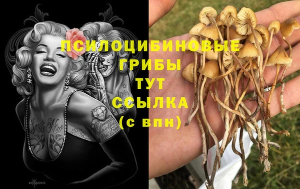 spice Мегион