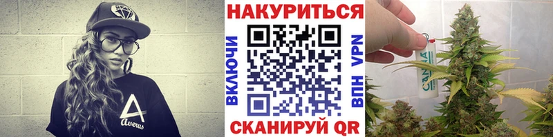 хочу наркоту  Мамадыш  Канабис OG Kush 